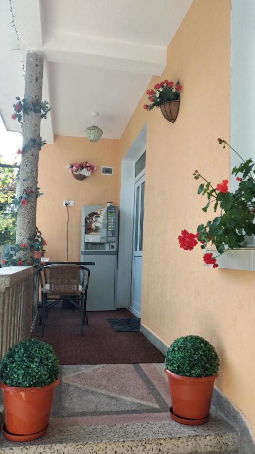 Rose & Water Guest House パヴェル・バニャ エクステリア 写真
